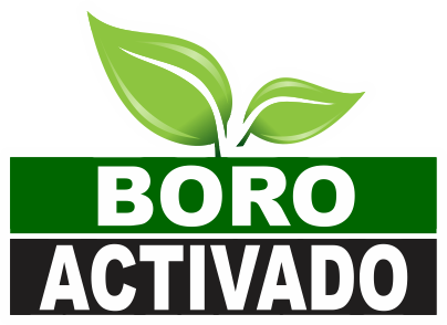 Logo Boro