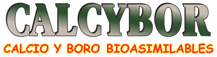Logo Calcybor